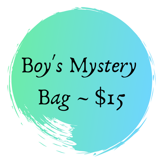 Boy's Mystery Bag $15